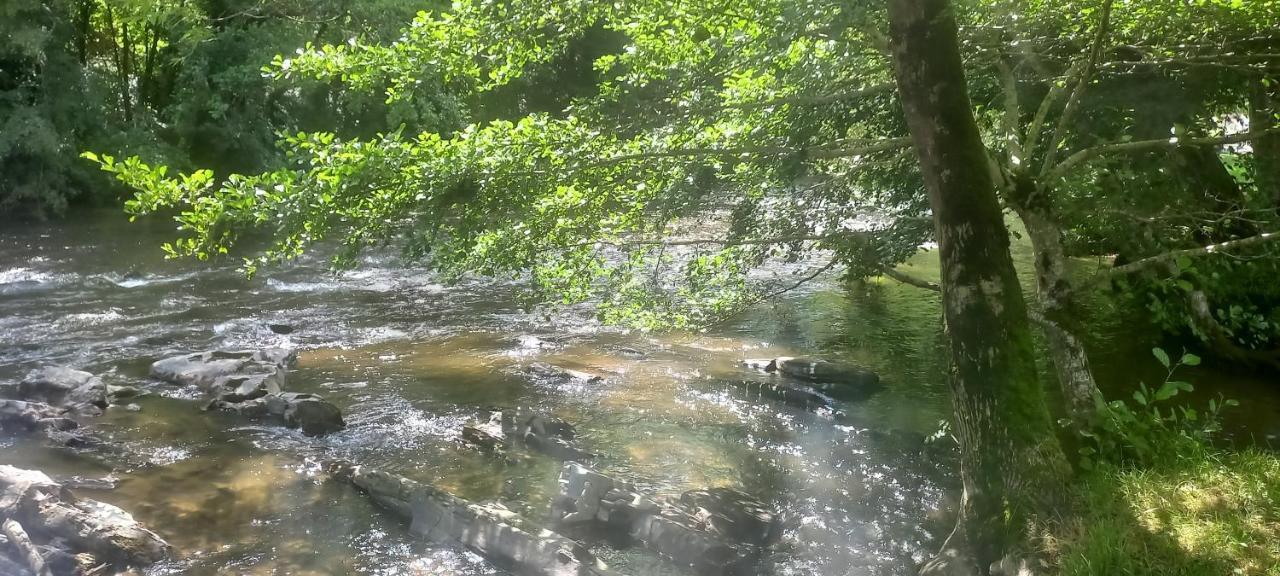 Camping Les Berges Du Cele